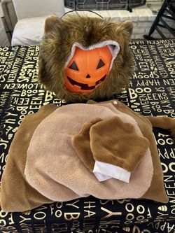 Tiger Costume 3T-4T