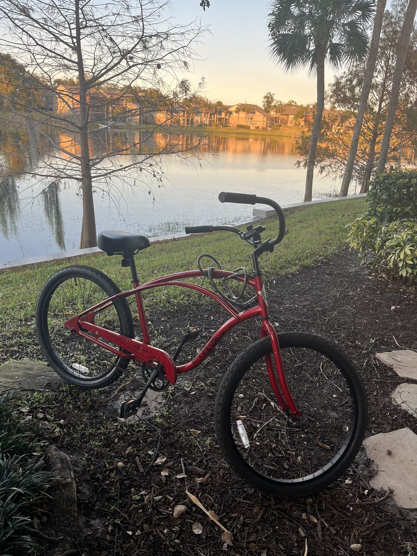 Men’s Beach Cruiser 