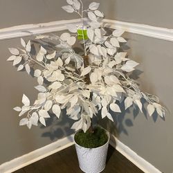 2)Floor Tree Flowers