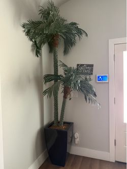 Plant