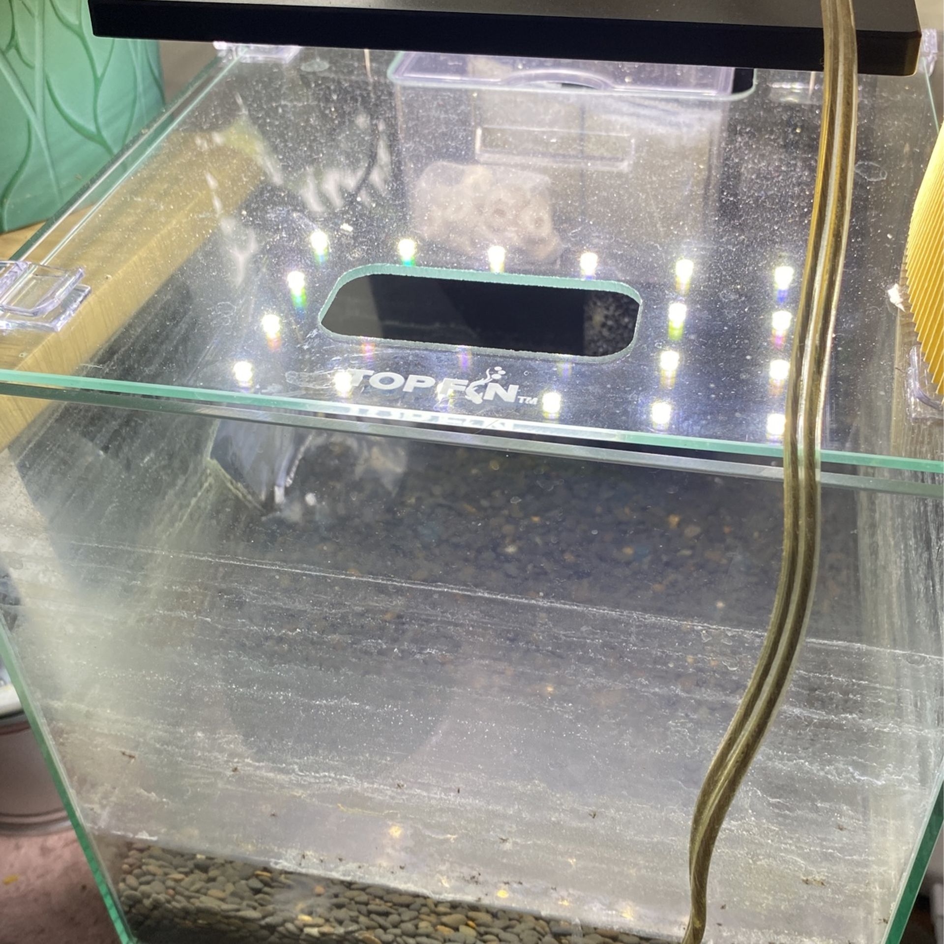 3 Gallon Shrimp/plant Tank