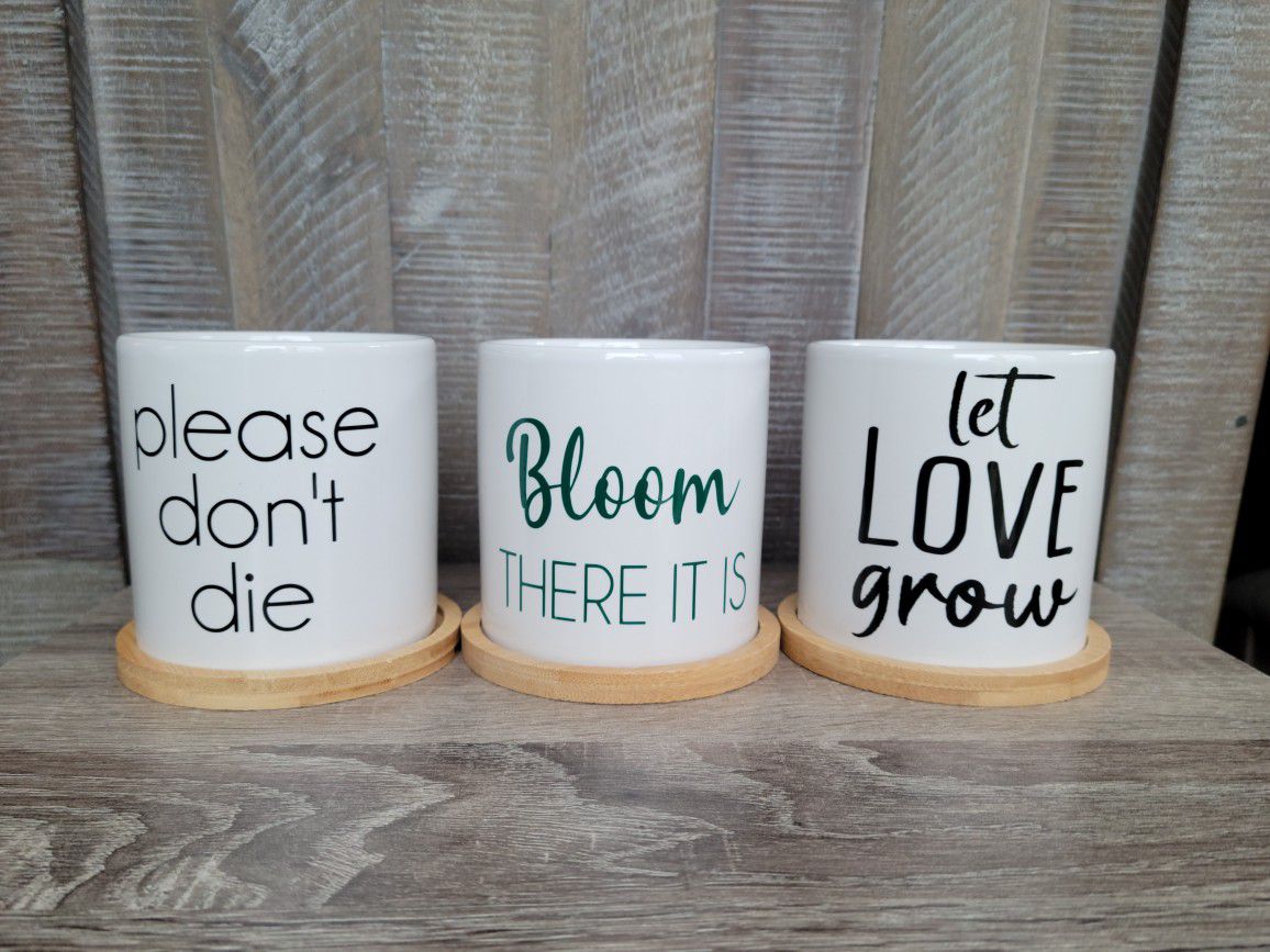 3in Ceramic Plant Pots with Custom Plant Sayings - Funny, Inspirational, Perfect Gifts!