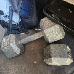Two 25 Pound Dumbbell!