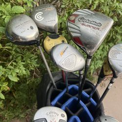Entire bag of 12 Driver woods and hybrids including bag $100 for everything 