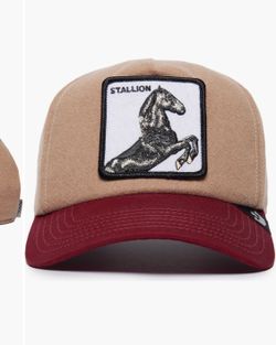 Goorin Stallion hat New!!