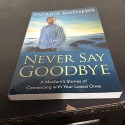 Never Say Goodbye 