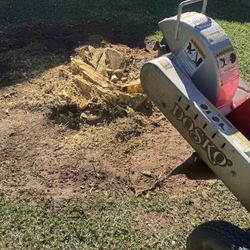 Stump Grinding 