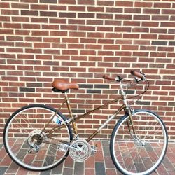 Vintage 54 Ladies/Stepthru/Mixte Raleigh 12-spd Road Cruiser