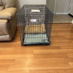Potty Training Puppy Apartment for Medium Size Dogs