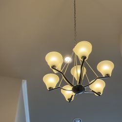 Chandelier And Pendent Lights