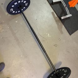 (2) 15# AMGYM BUMBER PLATES AND CAP 45# Olympic Ball 