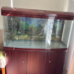 Fish tank 55 gallon