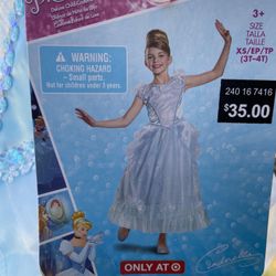Cinderella Costume 