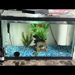 Fish Tank 