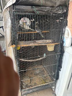 5 feet tall cage
