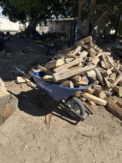 Firewood