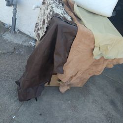 Leather Hides Large $100 Small $50