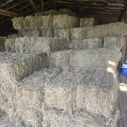 Mix Grass Square Bales