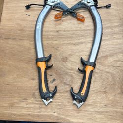Petzl Quark Pair 