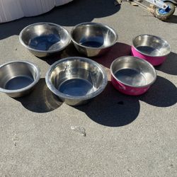Dog Bowls 