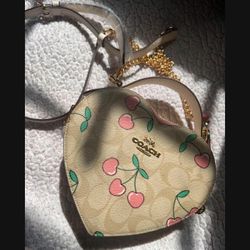 Coach Heart Shape Bag