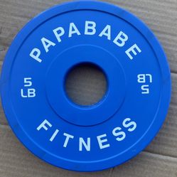 A pair of 5 pound bumper weight