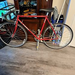 Trex 370 