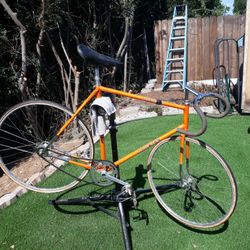 Used track bike for sale sale