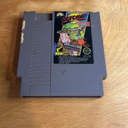 Nintendo NES - Gotcha