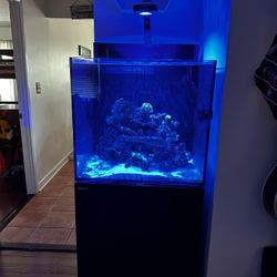 Red Sea Max E - 170 black Stand