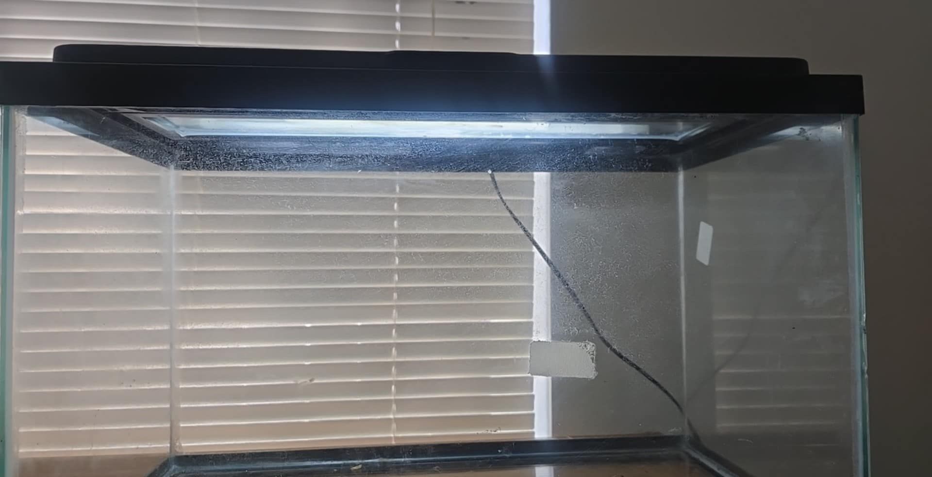 Reptile Tank