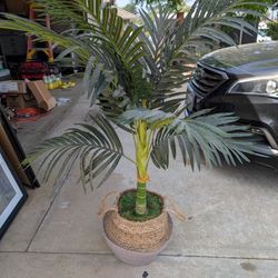 Fake Plant