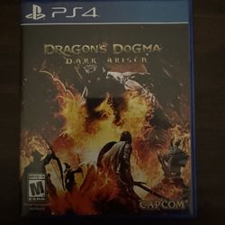 Dragons Dogma 