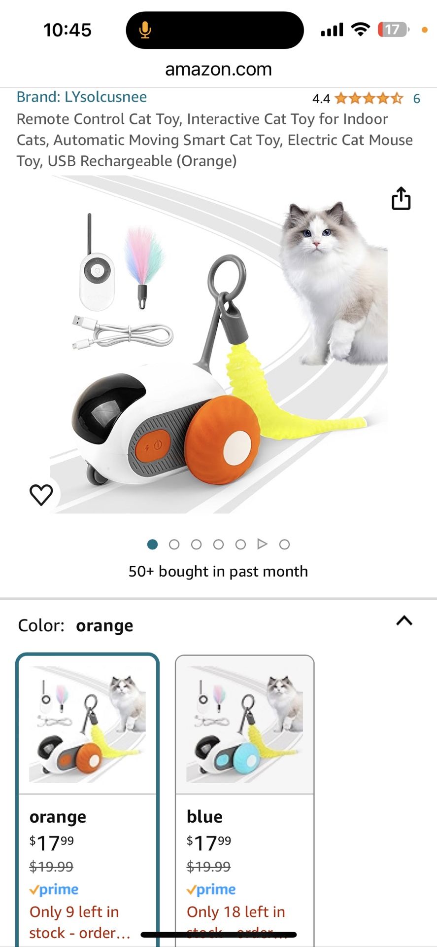 Cat toy