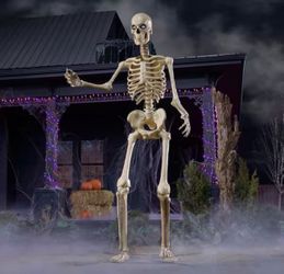 12 ft skeleton