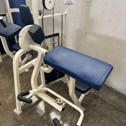 Cybex Arm Curl Machine 