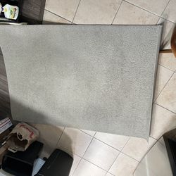 Light Grey Rug