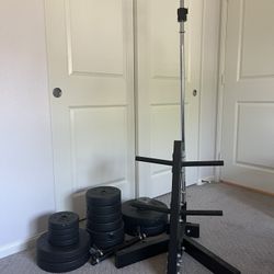 Adjustable Barbell And Dumbbell Set