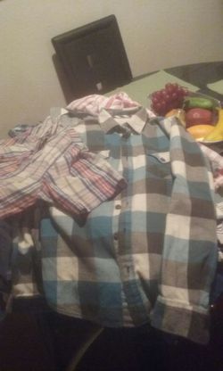 17 camisas