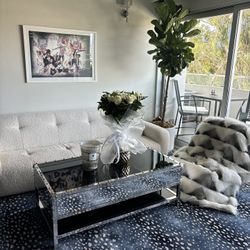 Couch and Coffee Table 