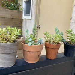 Set Of 4 Small Succulent Pots 