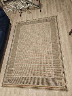 Moving out sale!!! Large Neutral Area Rug