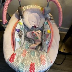 Baby Bouncer Seat