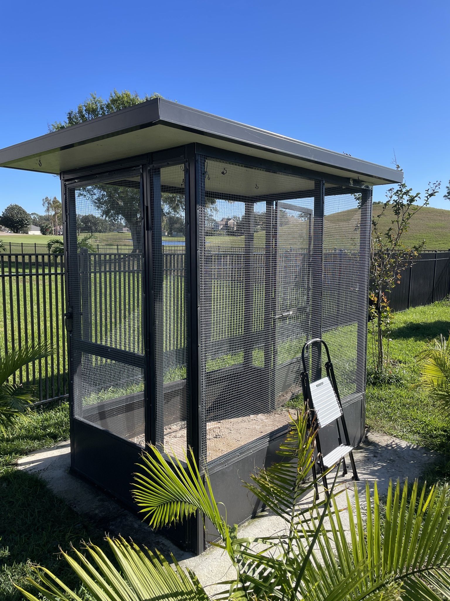 Full Height Aviary with Pavers