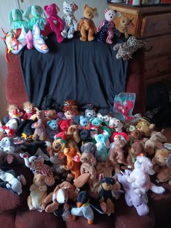 Beanie Baby Collection 