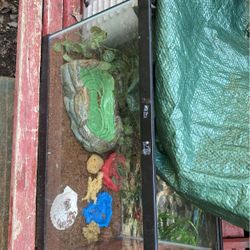 10 Gallon Reptile Tank