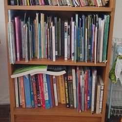 Bookshelf (Moving Sale)