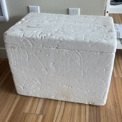 Styrofoam Cooler 