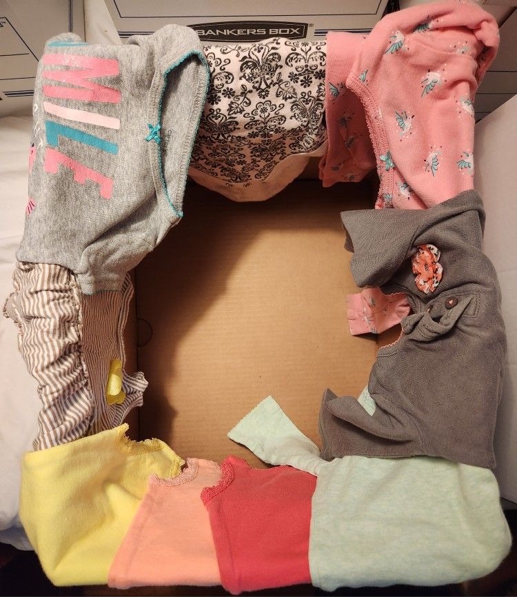 9 Months (9M) Baby Girl Clothes Lot - 30 Pieces