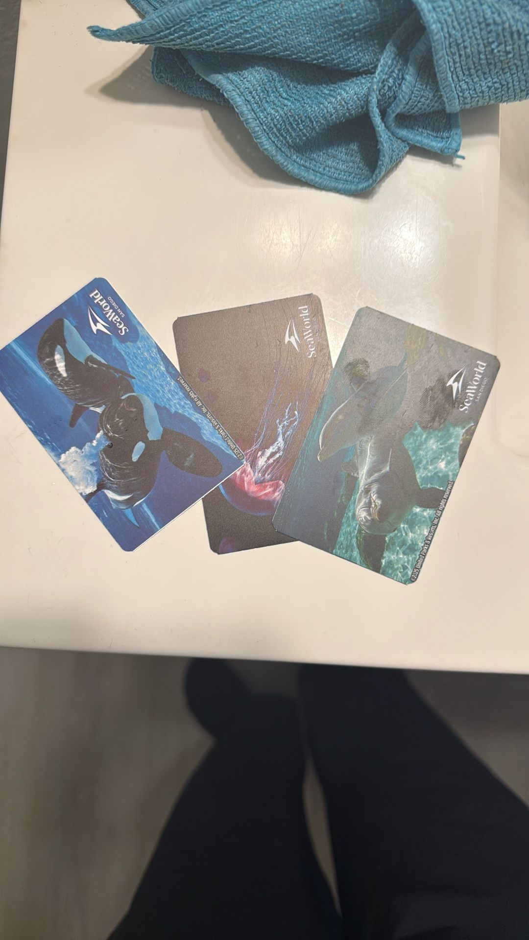 3 Any day Seaworld Tickets